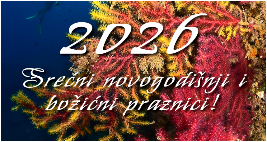 Srećni novogodišnji i božićni praznici