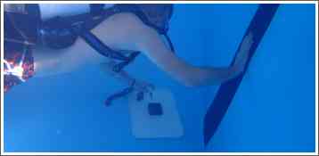 Prvenstvo Srbije u podvodnim veštinama